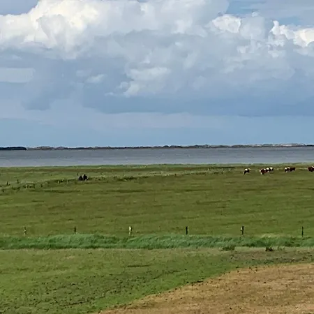 Stüürmanns Huus Ferienhaus