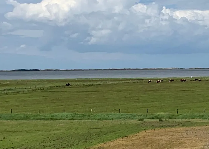 Stueuermanns Huus 度假居